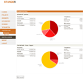Controlling Projekte-Auswertung